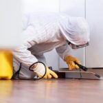 Keeping Your House Safe from Rats and Mice: Steps You Can Take