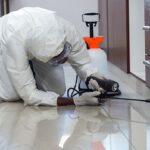 The Hidden Dangers of Ignoring Pest Infestations in Bend, Oregon