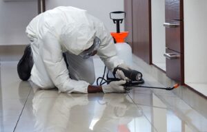 The Hidden Dangers of Ignoring Pest Infestations in Bend, Oregon