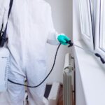 Understanding the Difference Between Preventive and Reactive Pest Control