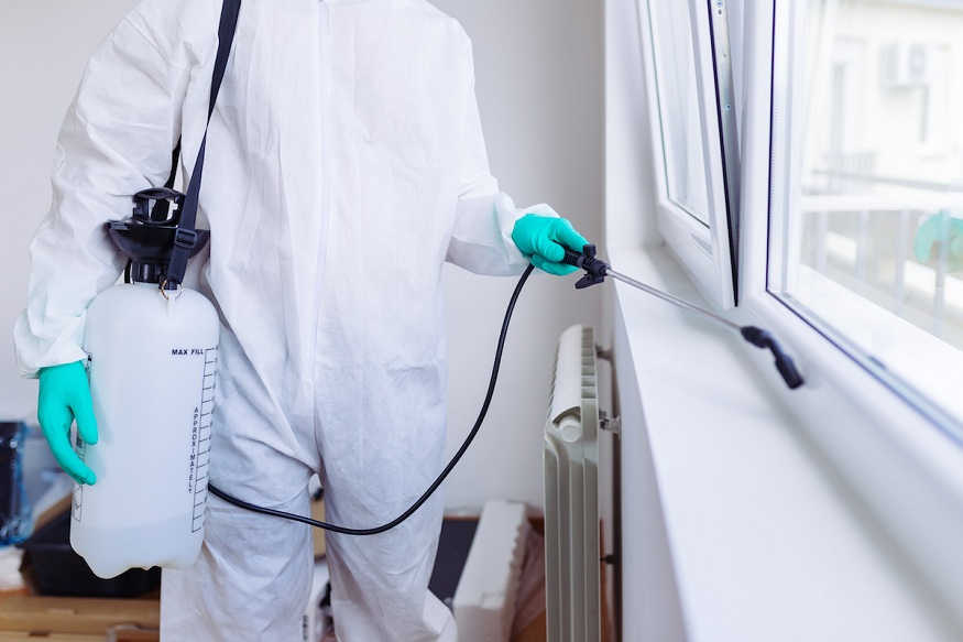 Reactive Pest Control
