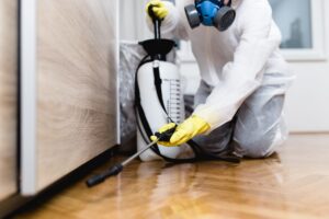 Why DIY Termite Control Is a Bad Idea in Altamonte Springs