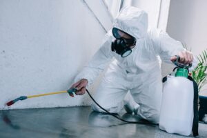 Inside the Process: How Pest Control Services Work in Indianapolis!