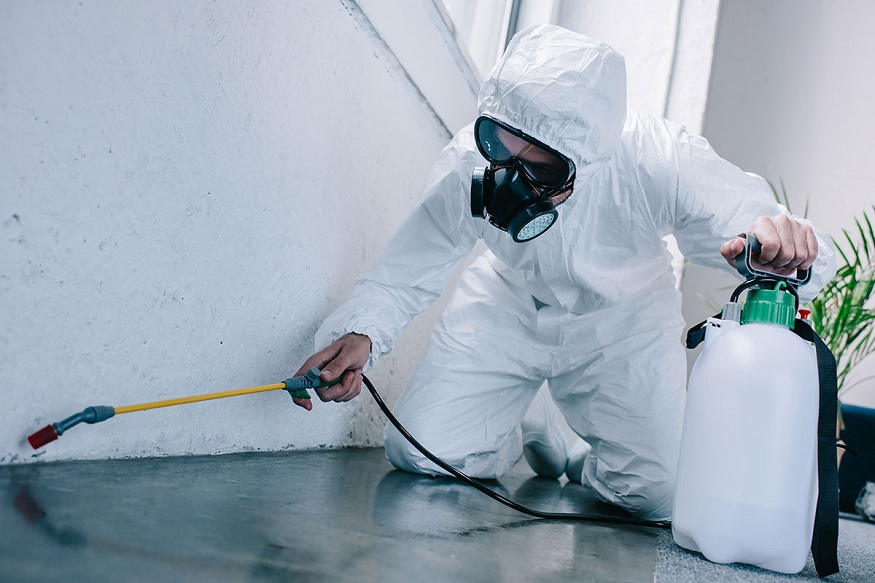 Pest Control Services Work