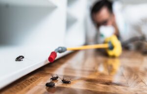 Which Household Chores Actually Help Prevent Pests?